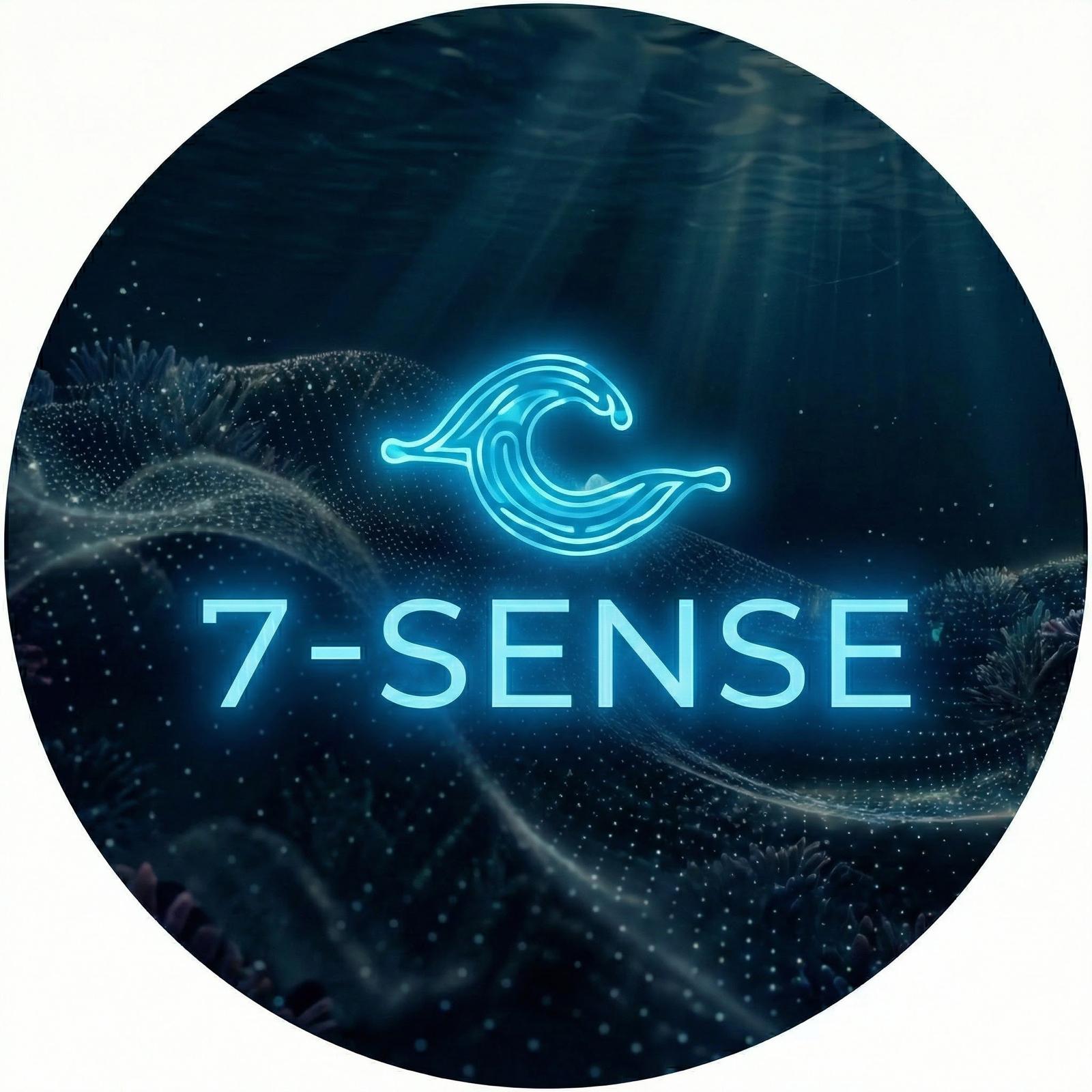 7-SENSE Marine